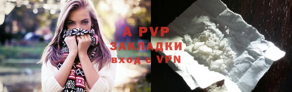 молекула духа Богданович