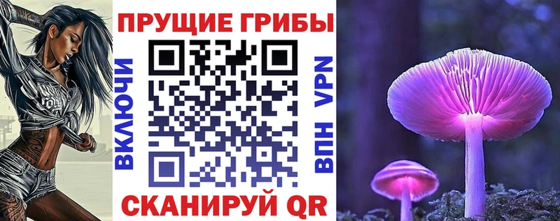 Псилоцибиновые грибы мицелий  Мышкин 